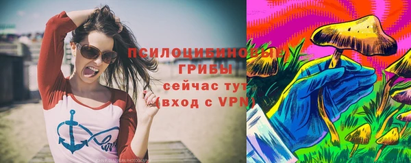 spice Дмитров