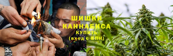 2c-b Дмитриев