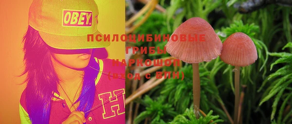 PSILOCYBIN Дмитровск