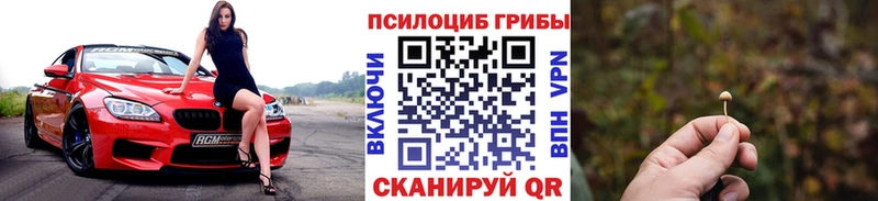 Псилоцибиновые грибы прущие грибы  где продают наркотики  Торжок 